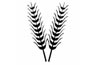 Bando: “Esperto nella gestione della filiera cerealicola-agroenergetica integrata”