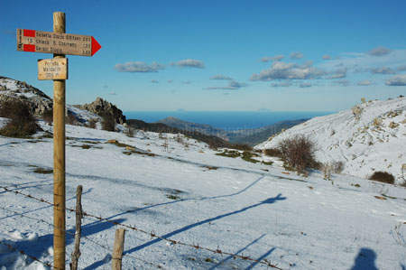 neve_2007_005