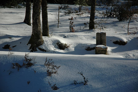 neve_2007_007
