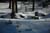 neve_2007_007